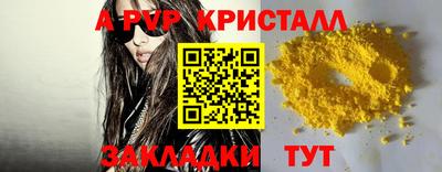 спиды Гатчина