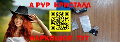 спиды Гатчина