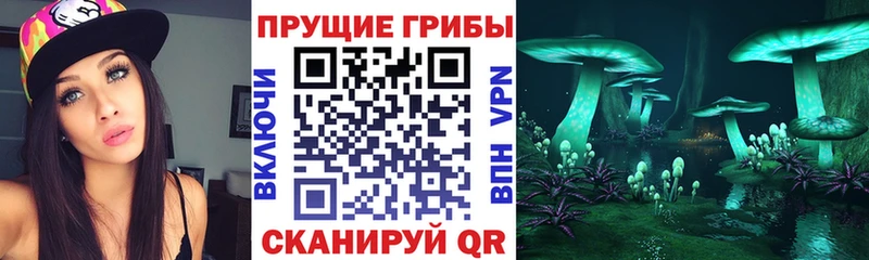 Галлюциногенные грибы прущие грибы  как найти наркотики  Чайковский 