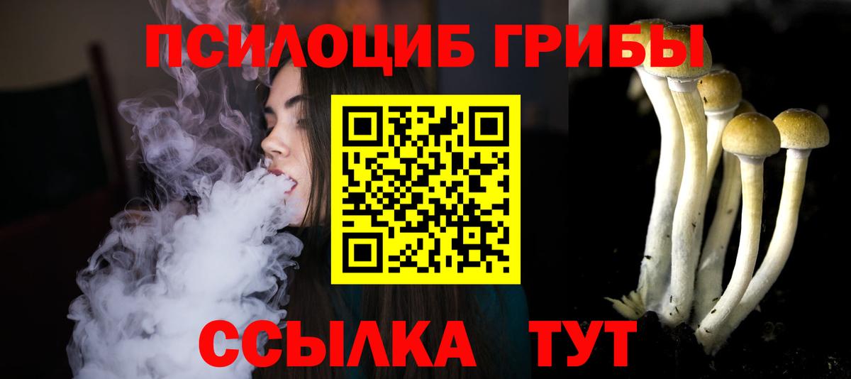 Чайковский  Псилоцибиновые грибы прущие грибы  Вход с VPN 