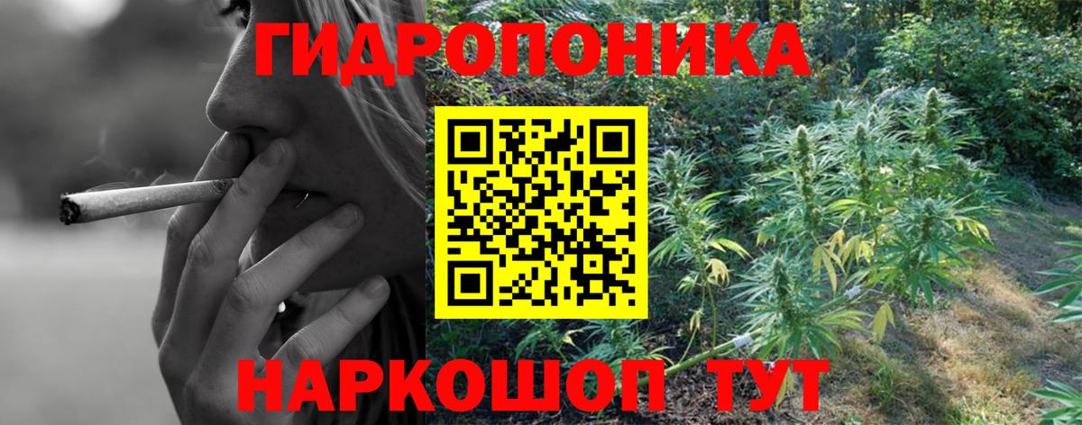 Бошки марихуана планчик  Вход с VPN  Конопля Ganja  Бошки Шишки OG Kush  Чайковский  Бошки Шишки OG Kush 